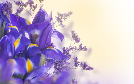 869438 (a): :2880x1800